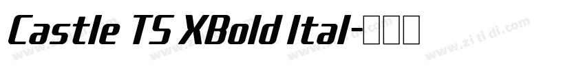 Castle TS XBold Ital字体转换